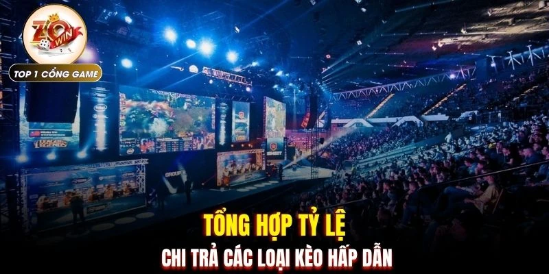 Tổng hợp tỷ lệ chi trả các loại kèo hấp dẫn